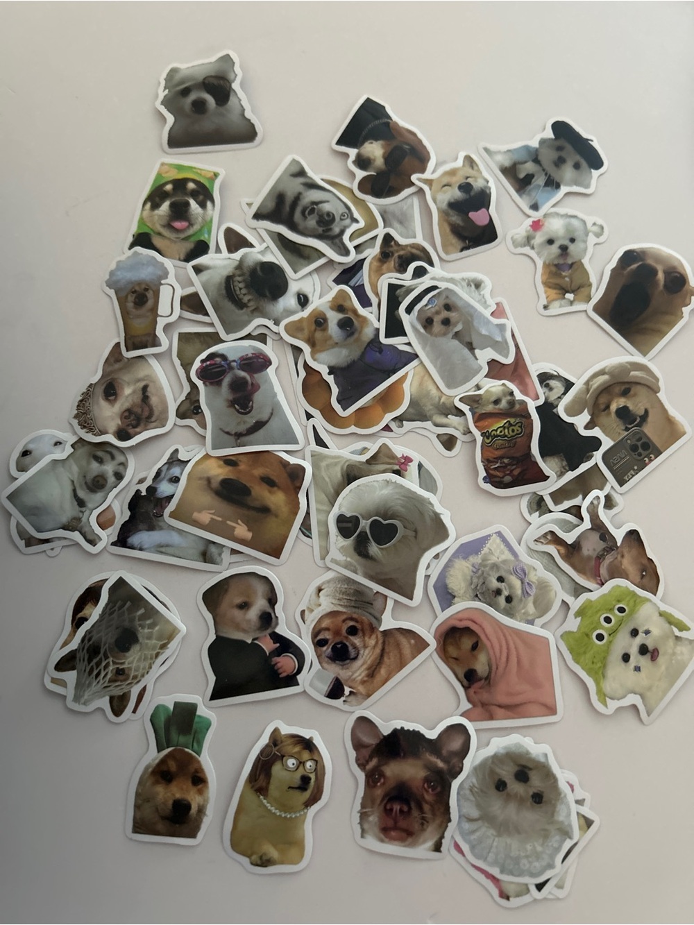 New 60 Pcs Cute Meme Dog Sticker Pack Variety Set For Water Bottles Laptops
